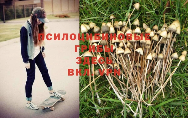 ПСИЛОЦИБИНОВЫЕ ГРИБЫ Бронницы
