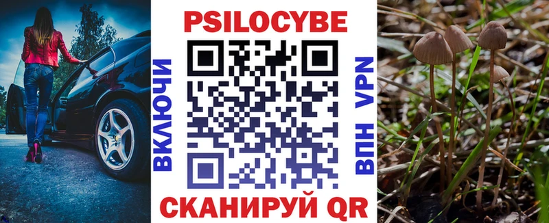 Купить где  Чернушка  Галлюциногенные грибы мухоморы 